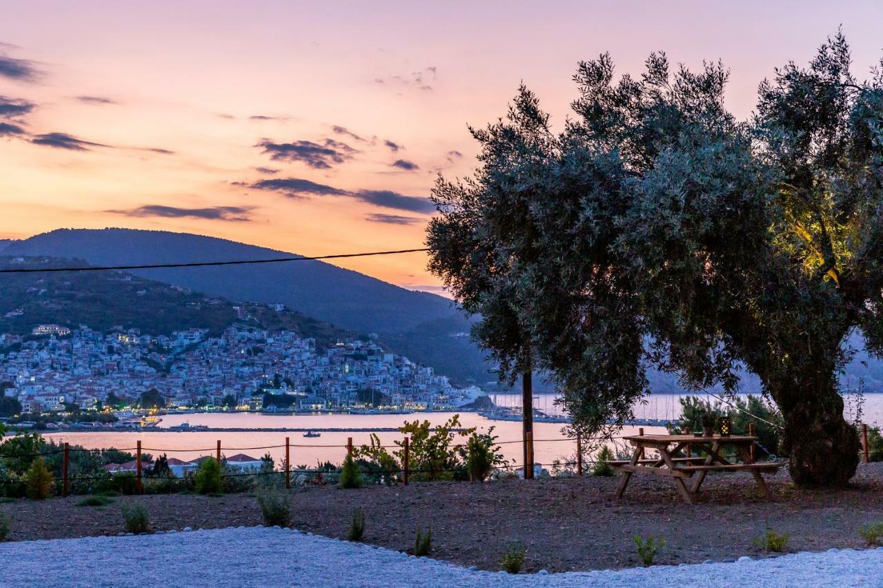 Olive Grove Apartment Skopelos Town Ngoại thất bức ảnh