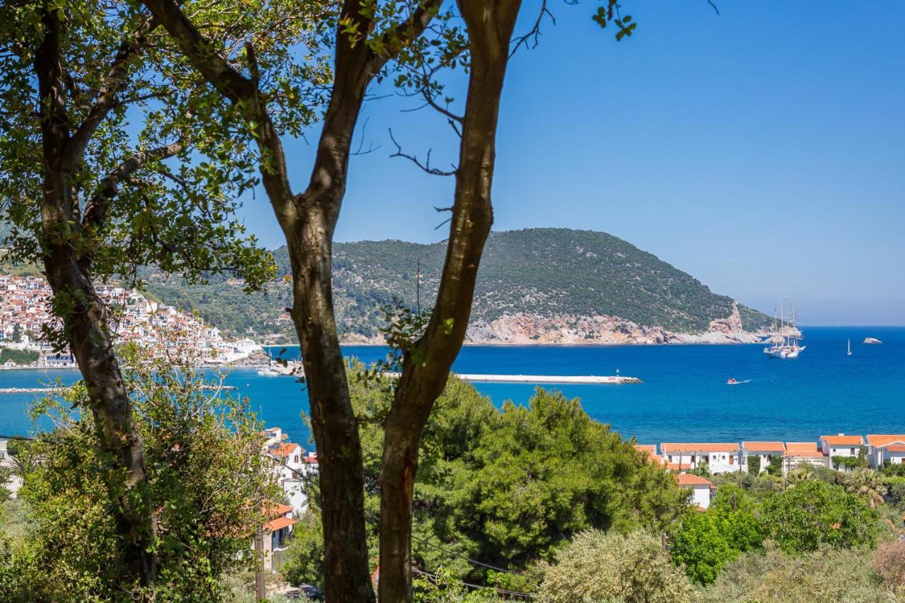 Olive Grove Apartment Skopelos Town Ngoại thất bức ảnh