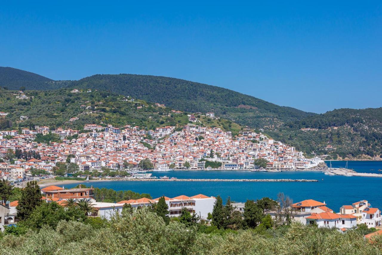 Olive Grove Apartment Skopelos Town Ngoại thất bức ảnh